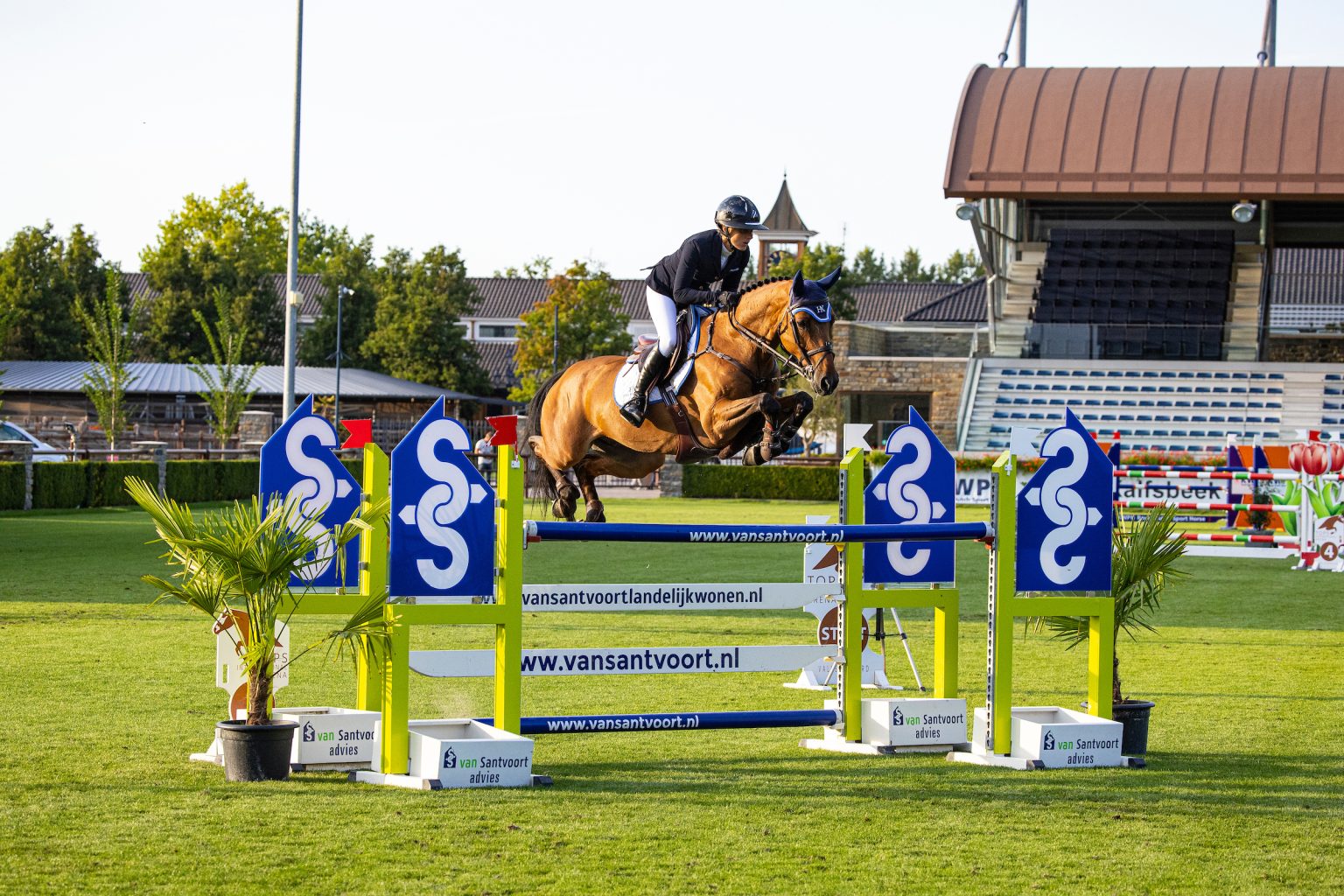 La Costa ES, Maestro Gusto & Kyfo on top KWPN Young Horse Championship ...